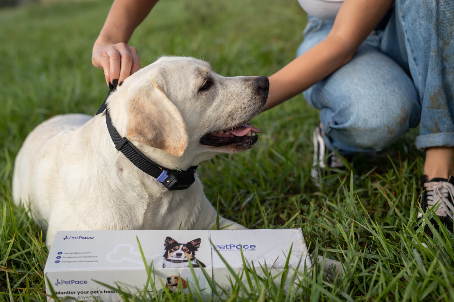 Mana Commerce Launches PetPace’s Latest Innovation in Canine Health Tracking: Paws and Pulse